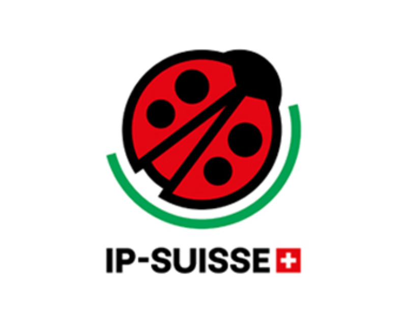 IP Suisse